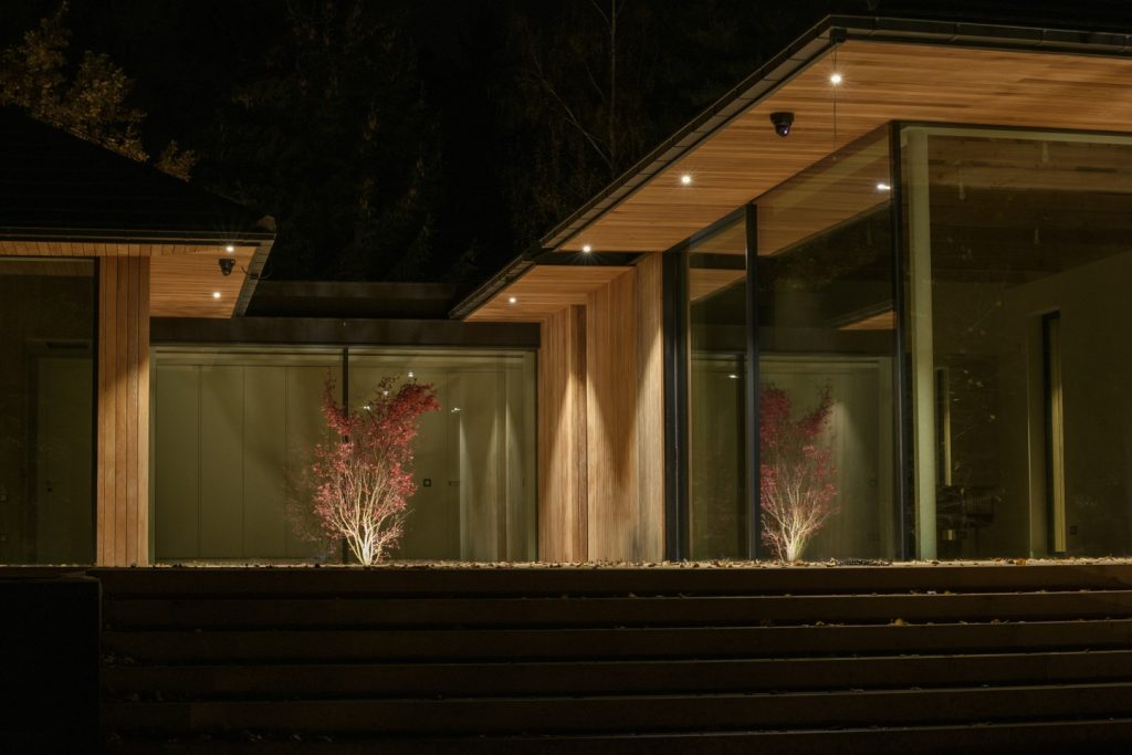 modern woodland garden